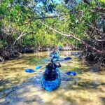 Guided Kayak Mangrove Ecotour in Rookery Bay Reserve, Naples - Who Might Want More?