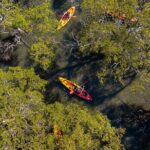 Guided Kayak Tour - Who Should Consider This Tour?
