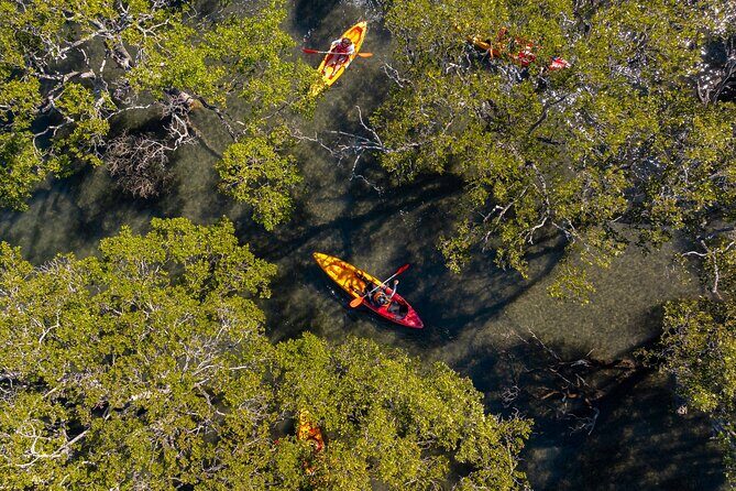 Guided Kayak Tour - Who Should Consider This Tour?