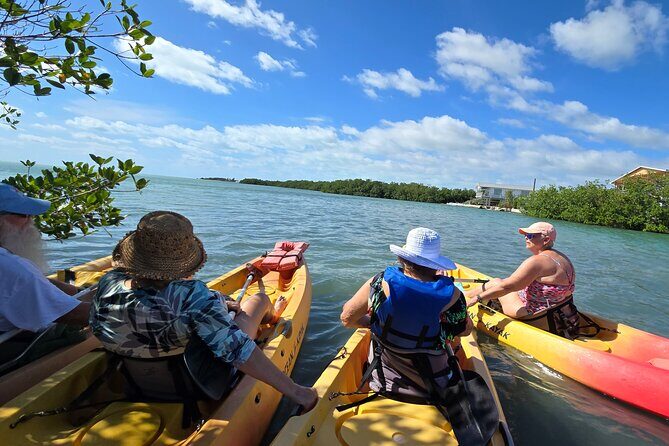 Guided Mangrove Eco Tours Kayak or Paddleboard Adventure - Who Will Appreciate This Tour?