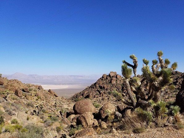 Guided or Self-Guided Road Bike Tour of Red Rock Canyon - Guided vs. Self-Guided: Whats the Difference?
