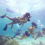 Guided Scuba Diving in Cabo Pulmo - What Makes This Tour Stand Out