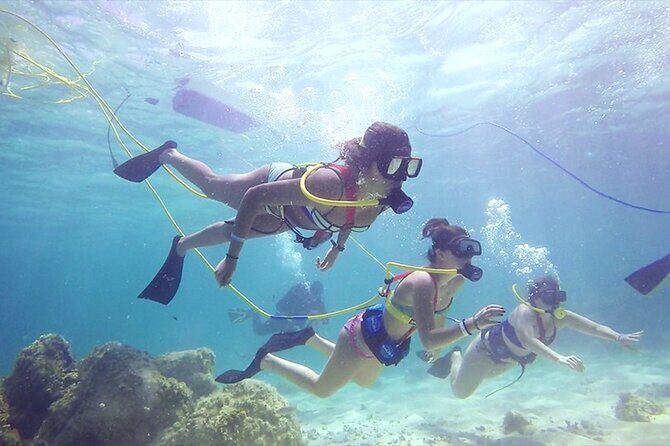 Guided Scuba Diving in Cabo Pulmo - What Makes This Tour Stand Out