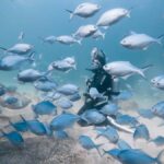 Guided Shore Dive Tour for Certified Divers - What Makes This Tour Stand Out?