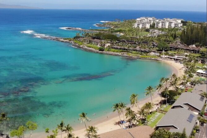 Guided Snorkeling for Beginners with Flotation Wetsuit - Final Thoughts: Is It Worth It?