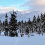 Guided Snowshoeing Adventure from Seward, Alaska - Final Thoughts