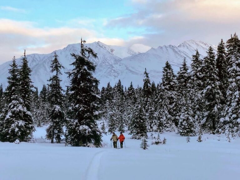 Guided Snowshoeing Adventure from Seward, Alaska - Final Thoughts