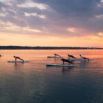 Guided Stand Up Paddleboarding Activity in Hilton Head Island - The Experience Itself: A Closer Look