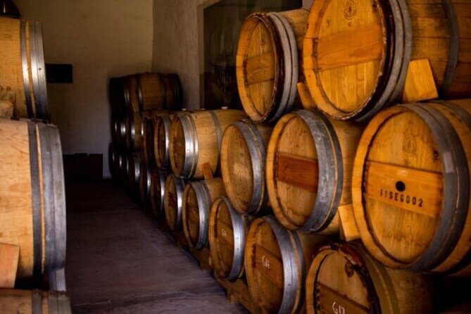 Guided tour and tasting of 4 wines at Viñedo Dos Búhos - The Experience: What to Expect from Start to Finish