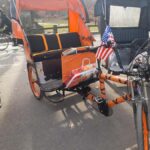 Guided tour of central park - The Value for Your Money