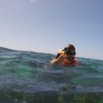 Guided Tour of Puerto Morelos Reefs with Snorkeling Experience - Food, Comfort, and Additional Perks
