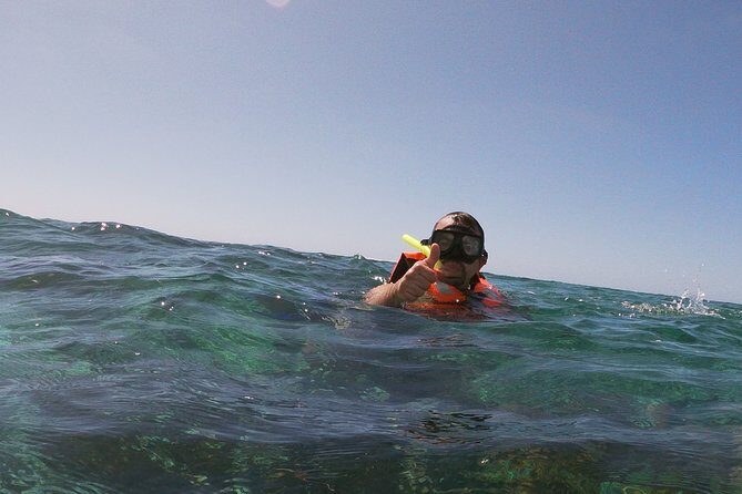 Guided Tour of Puerto Morelos Reefs with Snorkeling Experience - Food, Comfort, and Additional Perks