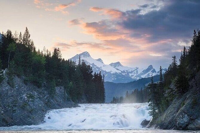 Guided Tour to Banff Highlights & Wildlife With Gondola Admission - Is This Tour Worth the Price?