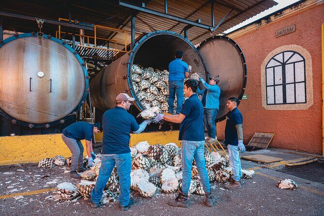 Guided Tour with Tasting in Tequilera Hacienda de Oro - Why This Tour Offers Good Value
