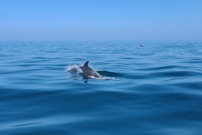 Guided Two hours Jetski Coastal Tour - The Experience of the Guides and Group Dynamics