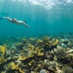 Guided Visit to Puerto Morelos with Snorkeling Included - Authentic Traveler Feedback