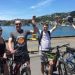 Guided Wellington Tour by Electric Bike - Who Should Consider This Tour?