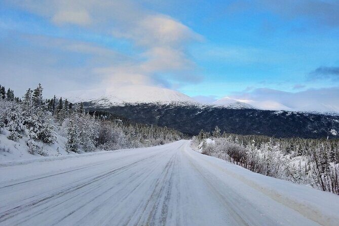 Guided Winter Wonderland Tour to Canada - The Tour Experience in Detail