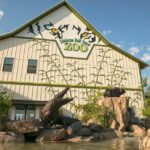 Gulf Shores, Orange Beach Area Multi-Attraction Pass - What Travelers Are Saying