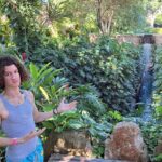 Hacienda Mucuyche & Oxkintok ruins & Cenotes: Carlota& Azul Maya - Practical Details and Considerations