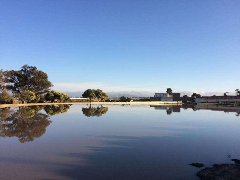 Hacienda Tochatlaco: historical visit, inside the main house - Practical Details: Costs, Duration, Accessibility