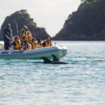 Hahei Explorer Cathedral Cove Boat Tour - Practical Details & What to Expect