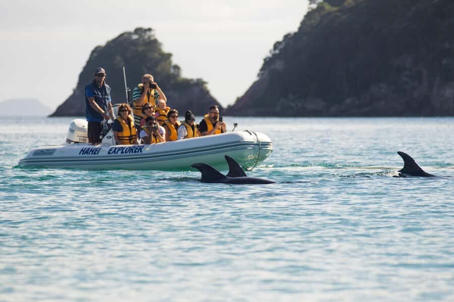 Hahei Explorer Cathedral Cove Boat Tour - Practical Details & What to Expect