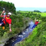 Hakalau: 9-Line Zipline Adventure with Umauma Falls View - The Details: What’s Included and What’s Not
