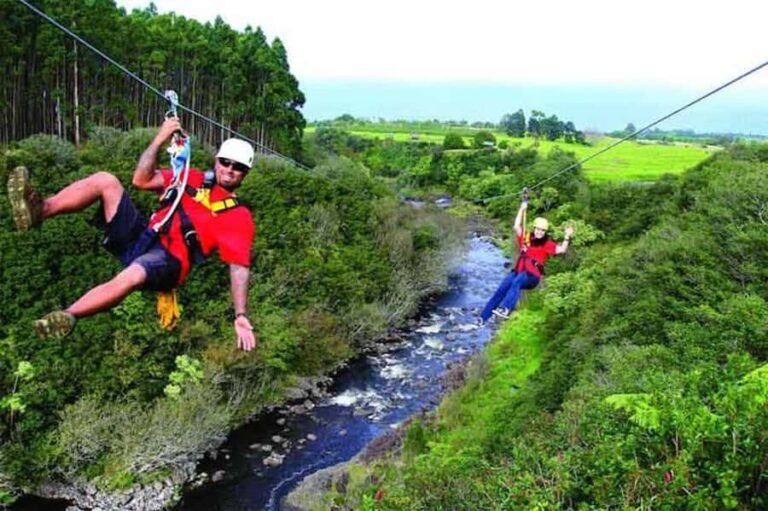Hakalau: 9-Line Zipline Adventure with Umauma Falls View - The Details: What’s Included and What’s Not