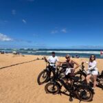 Haleiwa: North Shore Guided eBike Tour with Harbor Views - Who Is This Tour Best For?