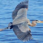 Half Day All The Way - The Experience: What You Can Expect on the Water