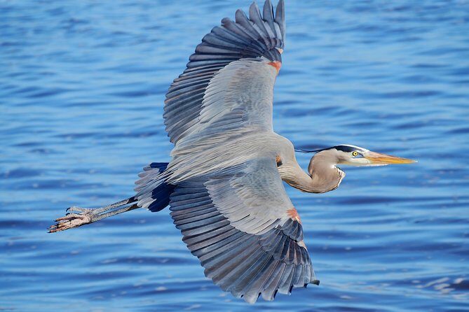 Half Day All The Way - The Experience: What You Can Expect on the Water