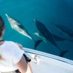 Half Day Dolphin & Wildlife Cruise - Tauranga - What’s Included and What’s Not