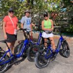 Half Day Electric Bike Rental in Treasure Island - The Experience Itself: A Day on Two Wheels