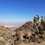 Half-Day Electric Bike Tour of Red Rock Canyon - Itinerary Breakdown: What to Expect