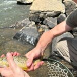 Half Day Fly Fishing Lesson on Clear Creek near Denver - The Real Value of the Tour