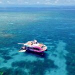 Half Day Great Barrier Reef Snorkeling Tour - Why Choose This Tour?
