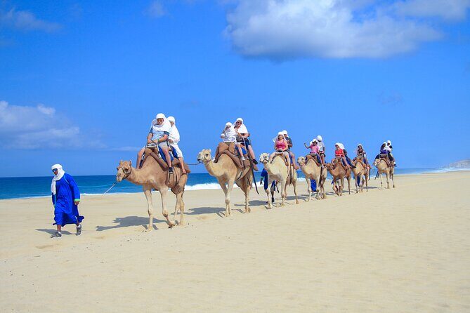 Half Day Guided Camel Safari in Cabo San Lucas - The Practical Side: What You Need to Know