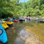 Half-Day Guided Kayaking in the Smoky Mountains of Tallassee - Price and Value