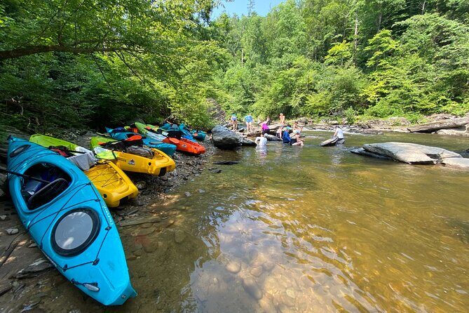 Half-Day Guided Kayaking in the Smoky Mountains of Tallassee - Price and Value