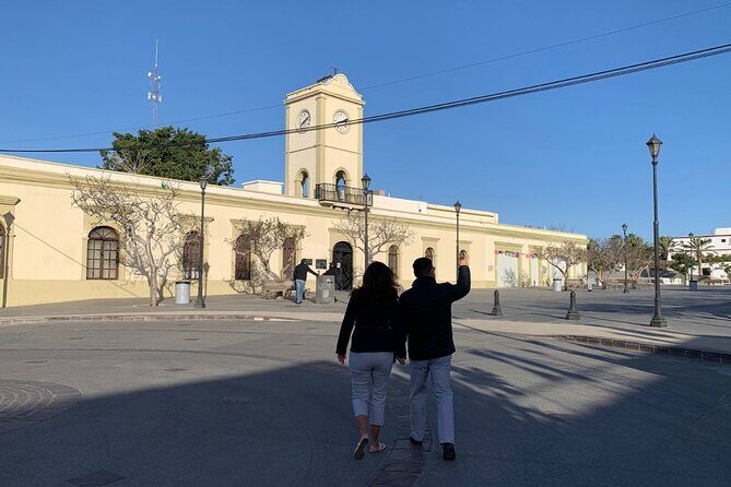 Half-Day Guided Tour in San José del Cabo Art and Beer Tasting - Is It Good Value?