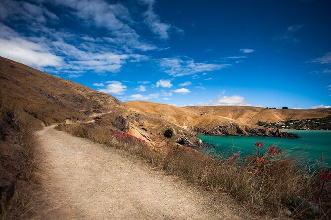 Half Day Guided Walking Tour on Banks Peninsula - Final Thoughts