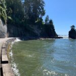 Half-day Hike and Bike Tour in Vancouver - The Logistics: Meeting Points, Timing, and Flexibility