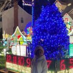 Half-Day Holiday and Tacky Lights Tour in Richmond - The Experience in Real Terms