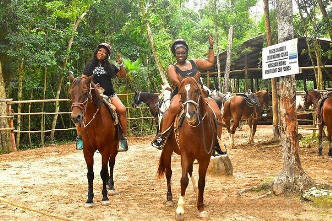 Half Day Horseback Riding Adventure with Cenotes in the Jungle - Is It Worth the Price?