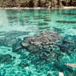 Half day lagoon safari tour in Bora Bora- Shared tour - The Value of the Tour