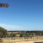 Half Day Living Legends tour with Devonshire Tea - Practical details and tips