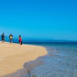 Half Day Low Isles Snorkelling Tour from Port Douglas - The Value of the Experience