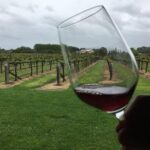 Half-Day Marlborough Wine Tour & Beer Tour - Who Should Consider This Tour?