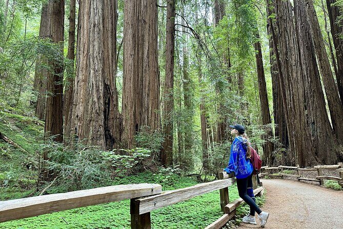 Half-Day Muir Woods & Sausalito Tour with Entry Ticket Included - Final Thoughts